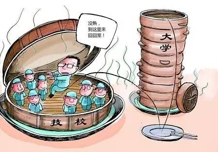 转载：大学生“回炉”读职校渐多，高教该反思什么？